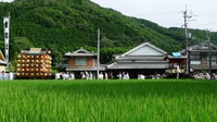 伝建地区の町並みと水無月祭（篠山市川原）