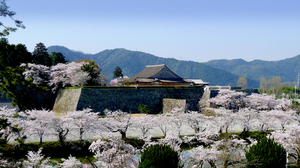 史跡篠山城跡