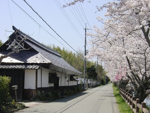 南新町の町並み