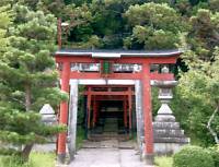 稲荷神社・栴檀の木