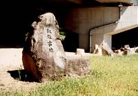 河内多々奴比神社（かわうちたたぬひじんじゃ）・二宮神社・たらねちの銀杏・籾塚