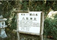 八坂神社と法連坊