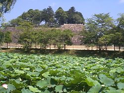 篠山城跡