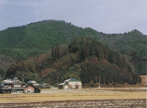 蕪丸城跡(奥山城跡）